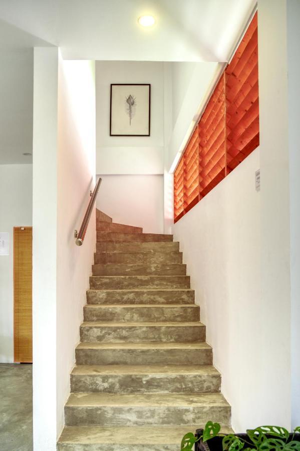 Hotel Island Ambience Maafushi Exterior foto
